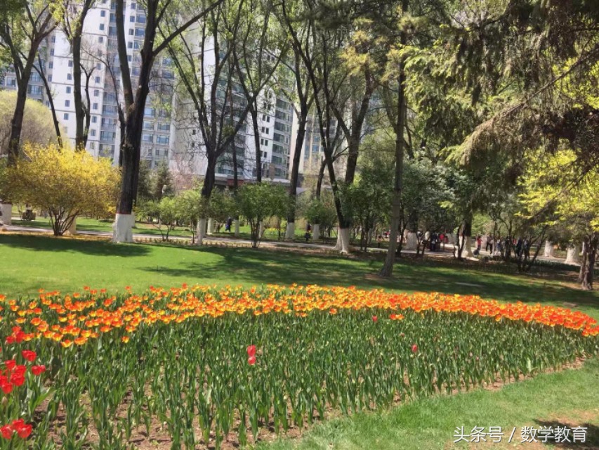 有关于足球的数学知识,数学知识有什么用呢