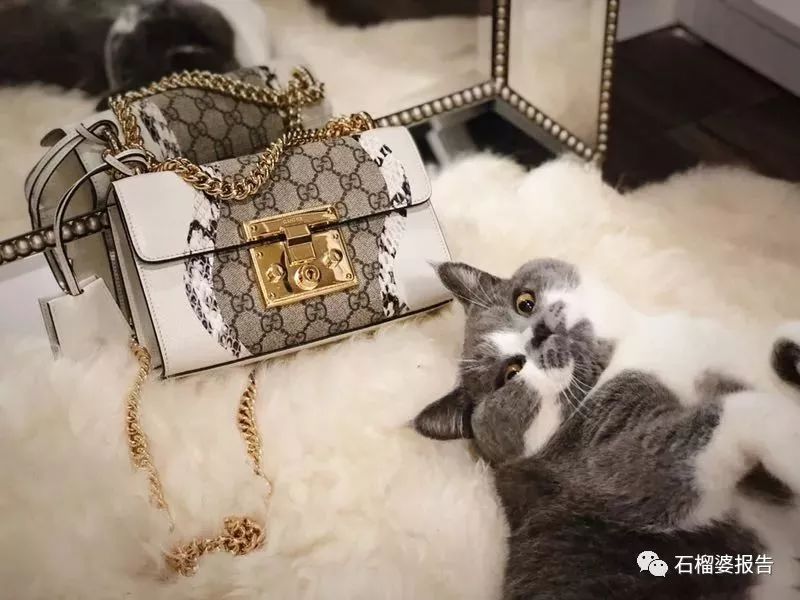 冬季推荐包包大牌,买大牌包包要买最新款吗