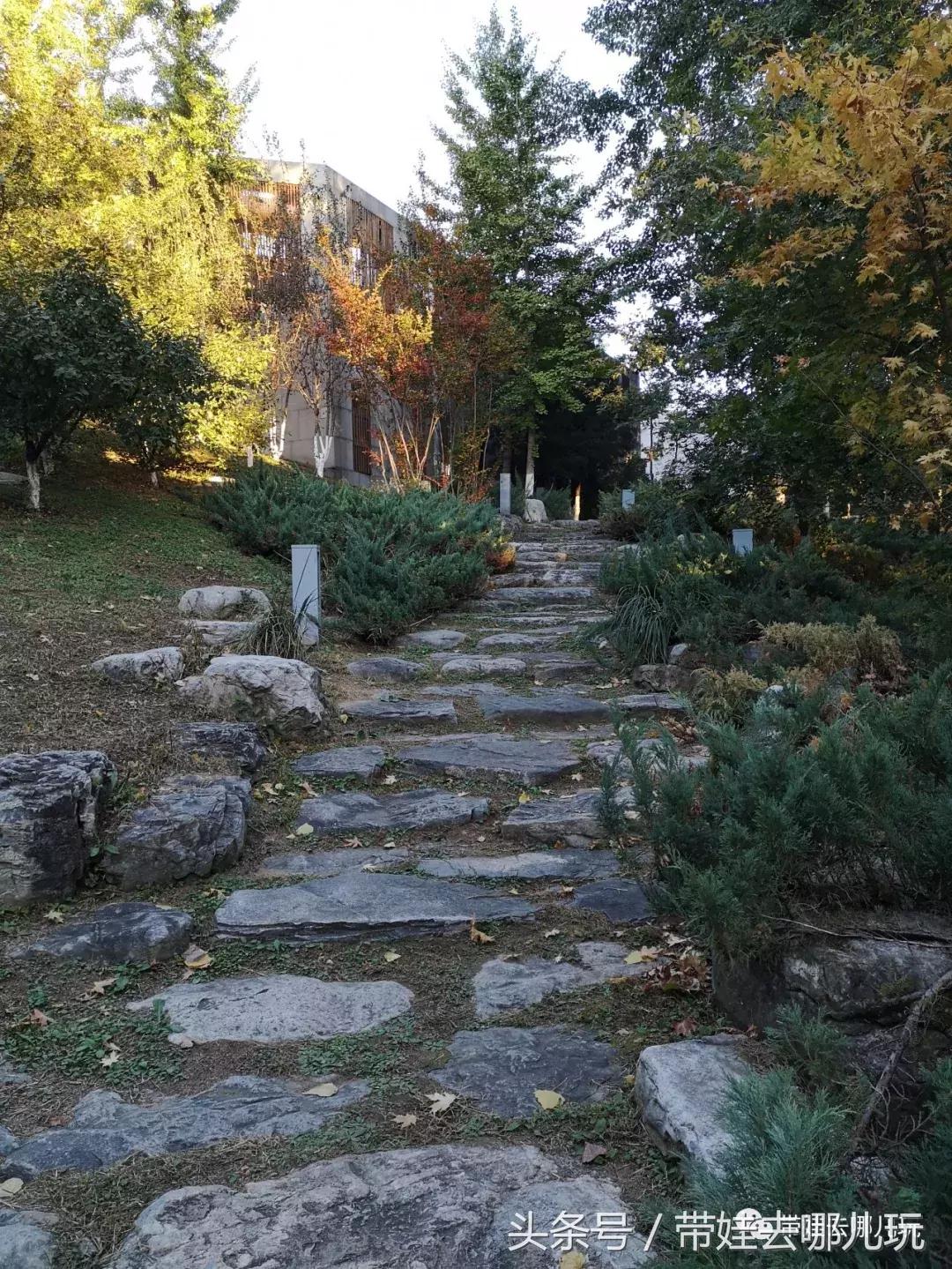 京郊十大亲子酒店,平谷亲子酒店值得去吗