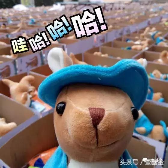 我不管，我最萌！