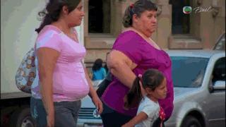 bbc全球最不健康的饮食,bbc纪录片关于健康饮食