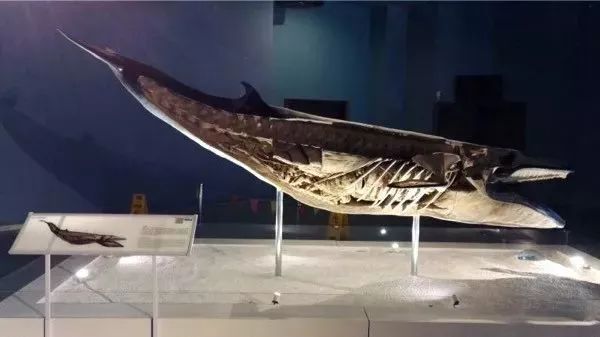 EVENT｜青”出于“蓝”的greenevery「day」