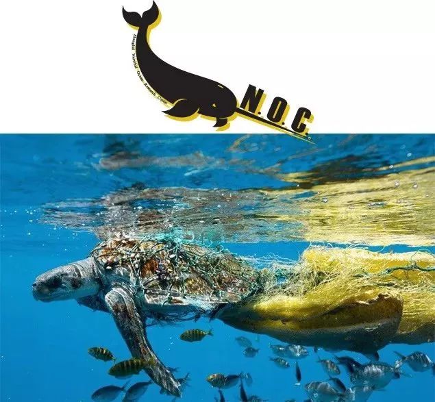 EVENT｜青”出于“蓝”的greenevery「day」