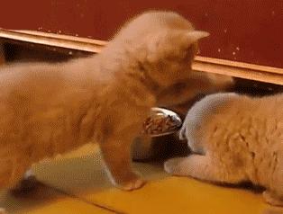 滴滴司机改行后月收入10万,滴滴再遇强大对手