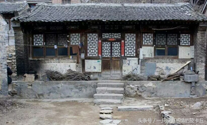 穷小子宁愿没钱娶媳妇也不卖牛，全村骂他傻子，老牛报恩让他暴富