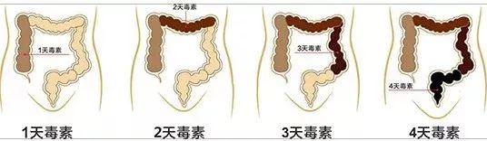 豆浆牛奶苹果汁的营养,适合春天喝的营养豆浆