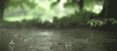 雨游汉口,雨游武汉