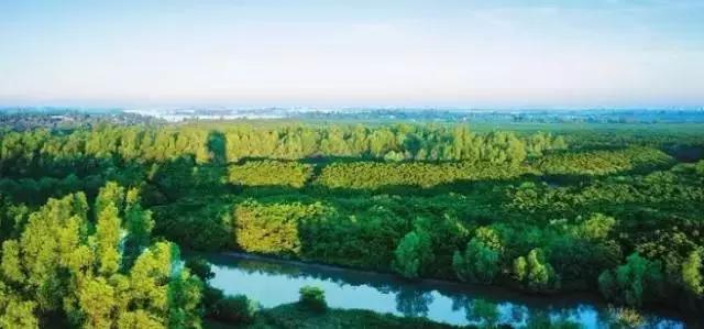 海南最值得去的几个地方,海南博鳌美不美