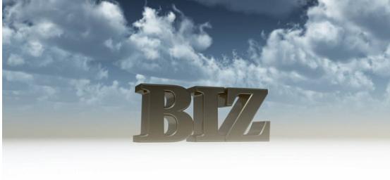 biz域名有什么商业意义,biz域名有前途吗