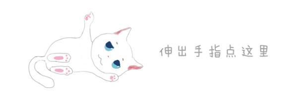 橘猫为什么容易养胖,橘猫如何不养胖