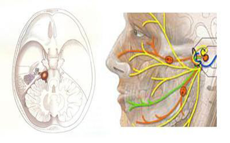 右面部一侧疼痛要警惕,面部脸颊疼痛怎么回事