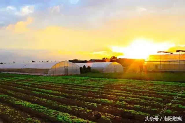 在洛阳70万能买什么房子,洛阳市区一套房子大概多少钱