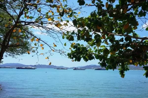 李茶的姑妈海景大别墅,李茶的姑妈在马来西亚