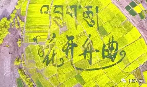 方言大挑战舟曲方言,舟曲方言可怜的人怎么说