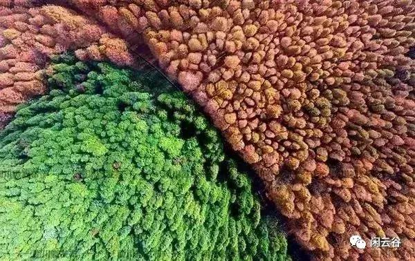 关于秋天的30首经典诗词,60首最经典描写秋天的诗词