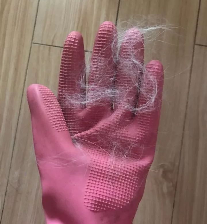 哈哈哈哈哈哈哈哈这届猫奴的智商有点高！