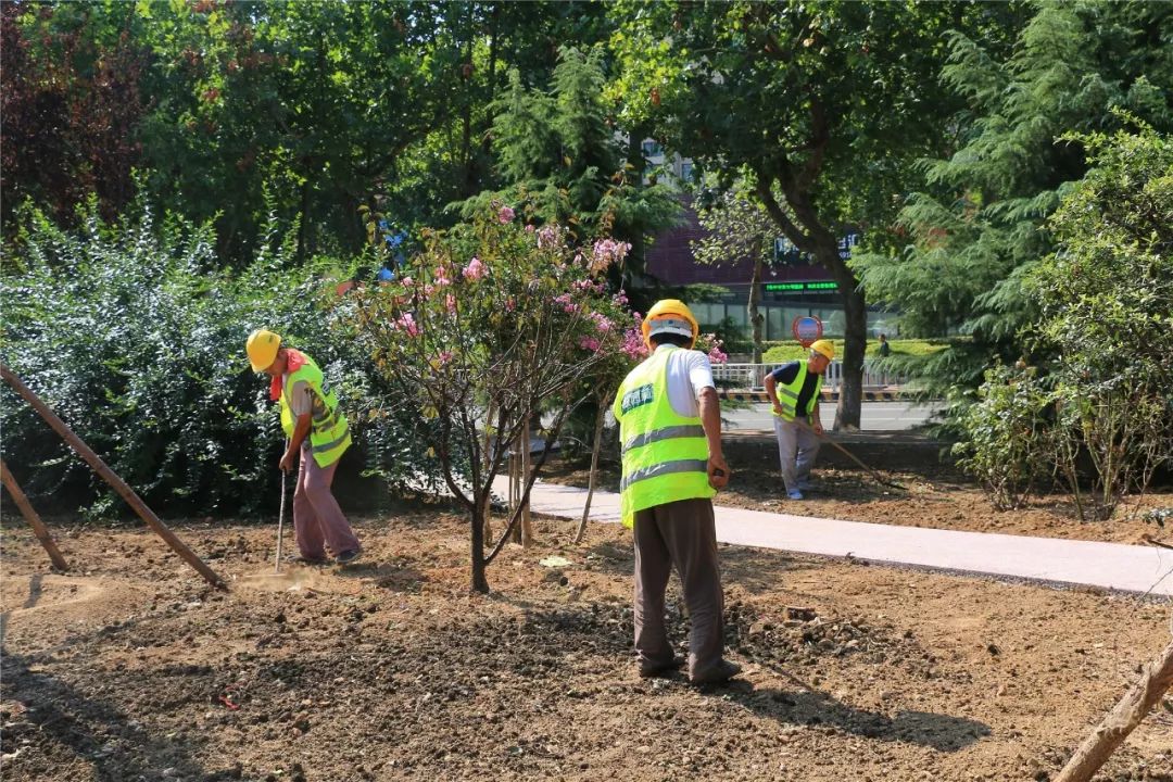 美了美了钢琴曲二胡,美了美了越南红歌