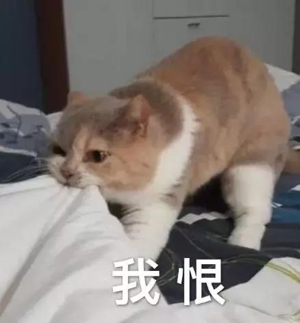 黑龙江绥化网警电话,95开头的推销诈骗电话