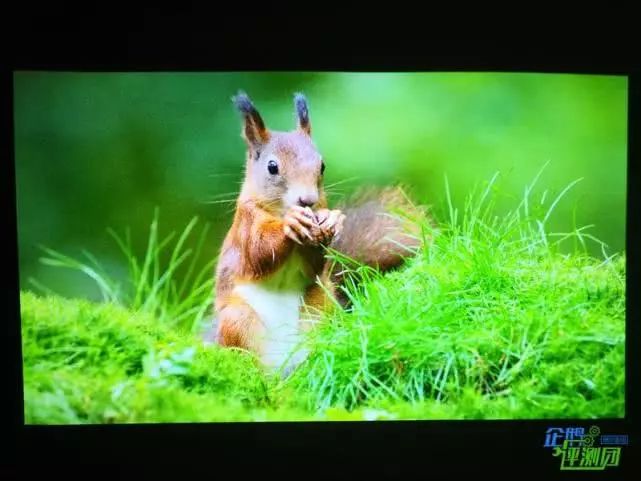 puppycube交互式投影仪评测:投影黑科技,桌面变触屏