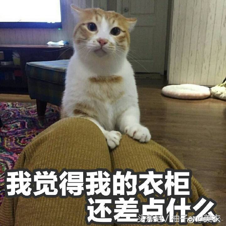 针织衫半裙,针织衫半裙微胖