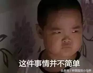 网上代购是真是假,真代购和假代购的区别