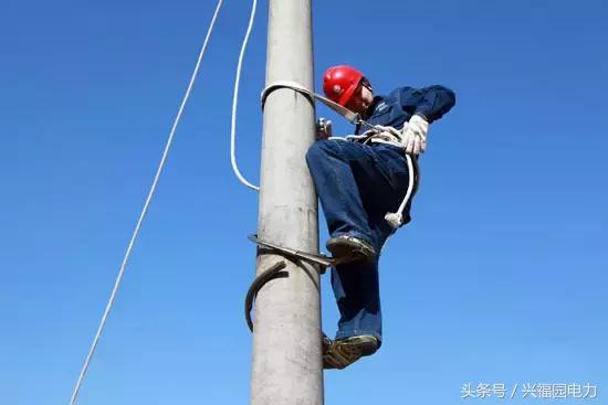 电网爬电线杆,爬电线杆