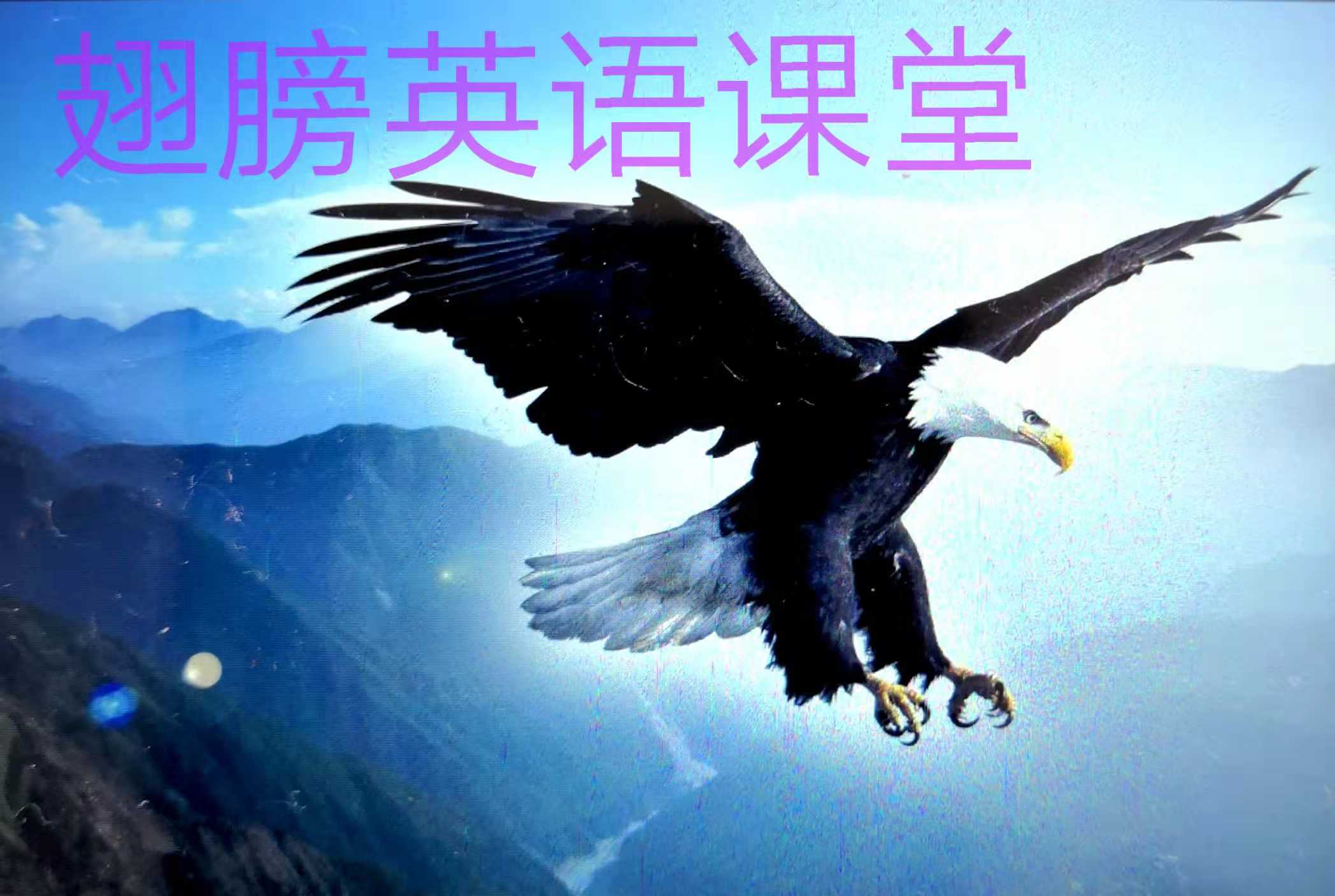 take的高频词汇,词汇复习手册