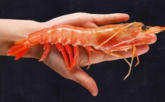 夏日阿根廷红虾推荐,高贵不贵阿根廷红虾