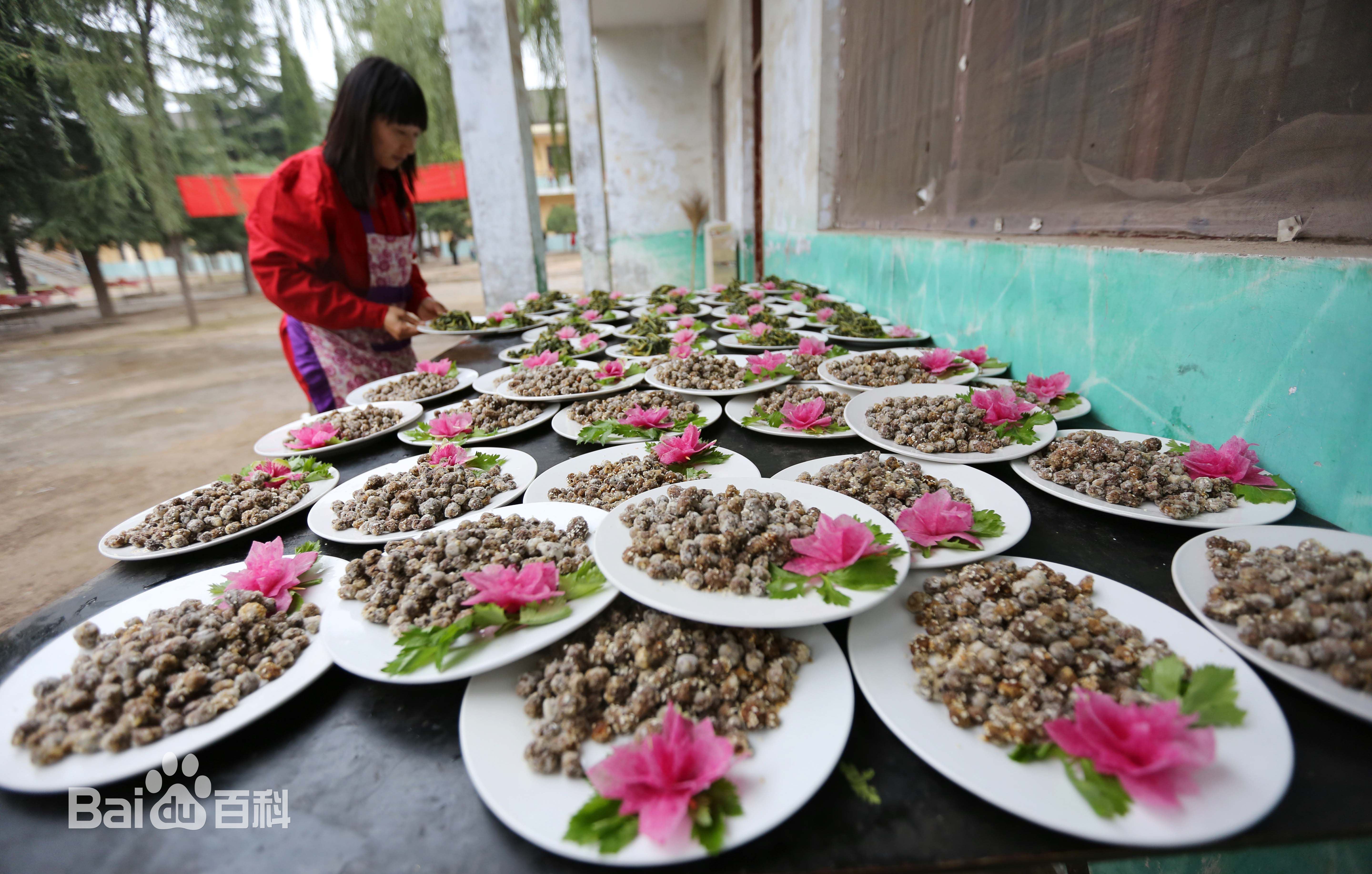 焦作怀山药四大怀药,四大怀药怀山药图片