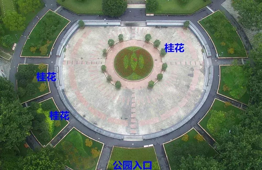 赏桂好去处,金秋赏桂好去处