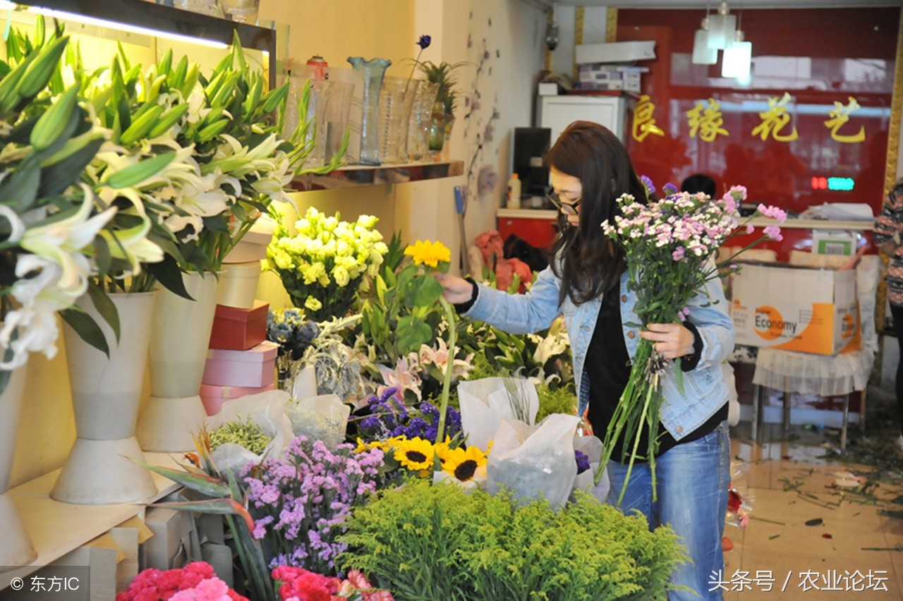 开花店进货成本明细,开个花店的成本和利润