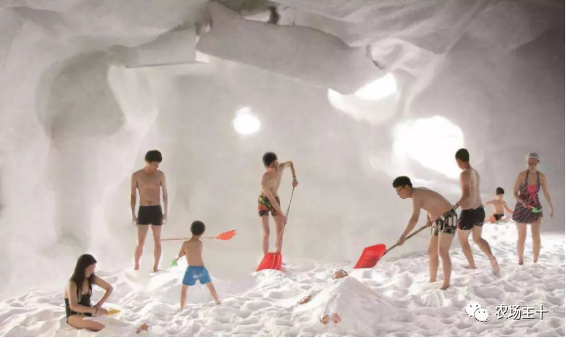 日本卖不掉的食品出现在中国,日本在中国卖的天价的东西