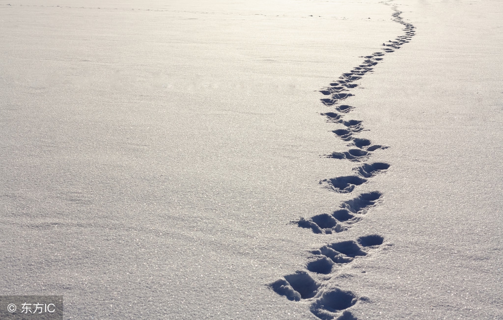 努力:Lifewillnevermaltreateverypersonwhoworkshard.