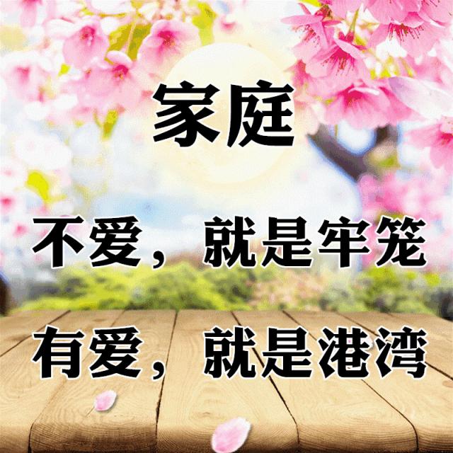 10张会动的照片,11张会动的图片