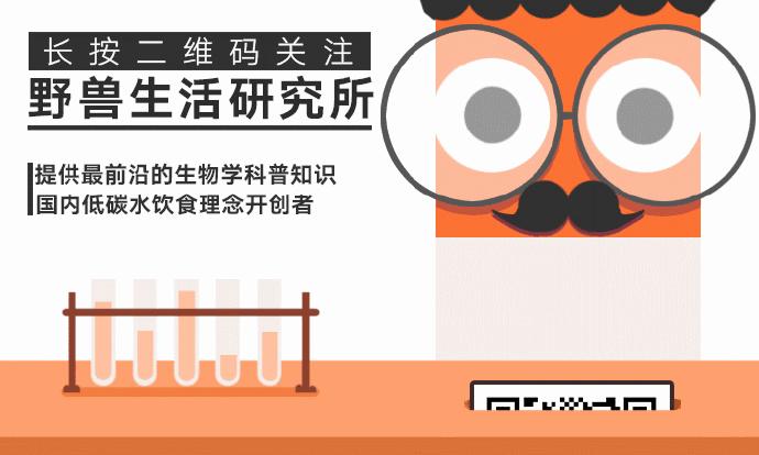 雾霾癌,雾霾癌症