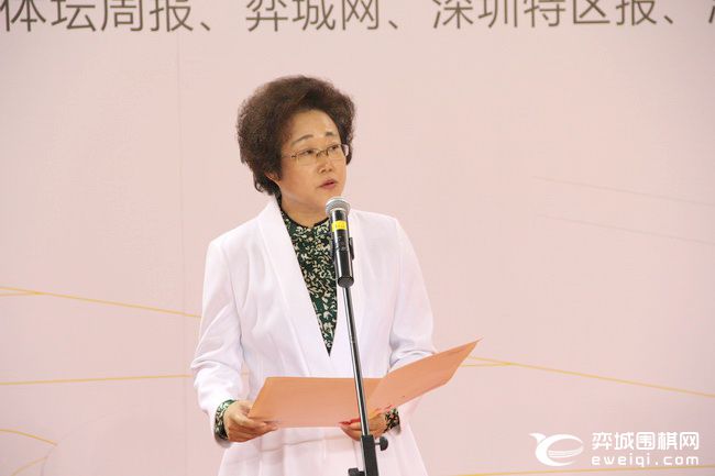 大湾区青少年围棋大赛,粤港澳大湾区围棋联赛