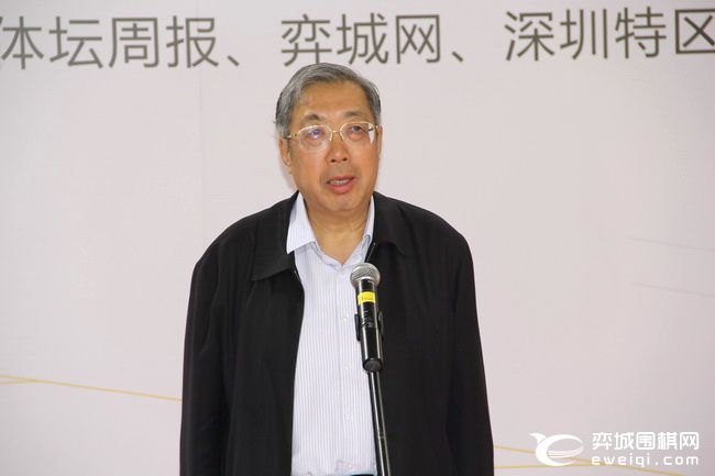 大湾区青少年围棋大赛,粤港澳大湾区围棋联赛