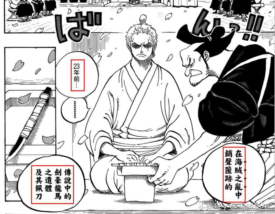 海贼王日和的真实身份,海贼王日和公主照片