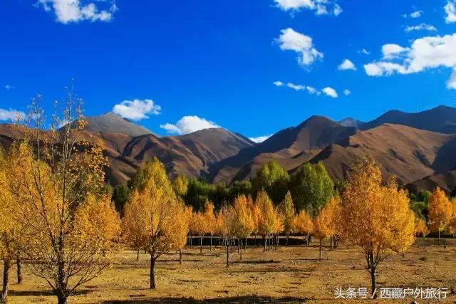 拉萨旅游攻略必去景点大全,拉萨旅游景点推荐及攻略