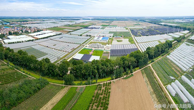 申请农业补贴公司还是合作社,农业合作社购买农机补贴政策