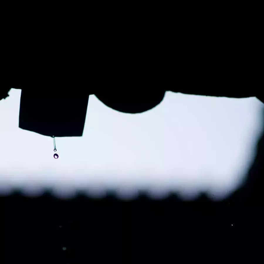 十位名家笔下的老师,十位名人笔下的老师