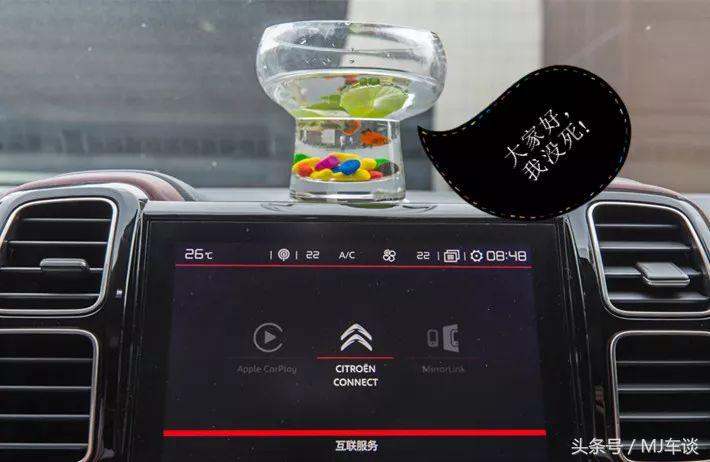 试驾雪铁龙天逸懂车帝,天逸试驾