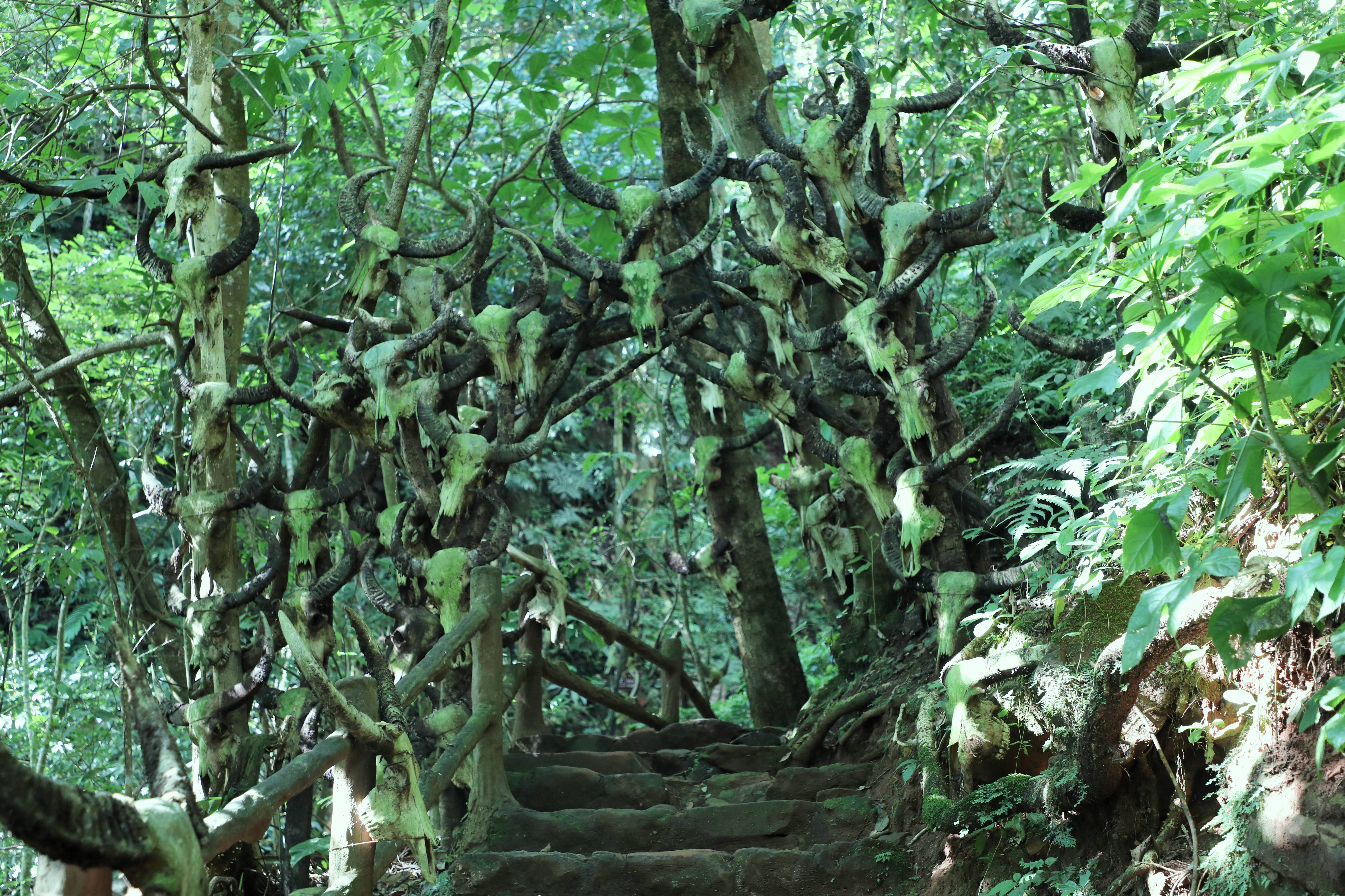 光唱歌就能给村里分红,曾祭人头的神秘佤族,走进你不知道的云南