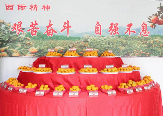 这一口甜蜜，让几百个三明人恋爱了