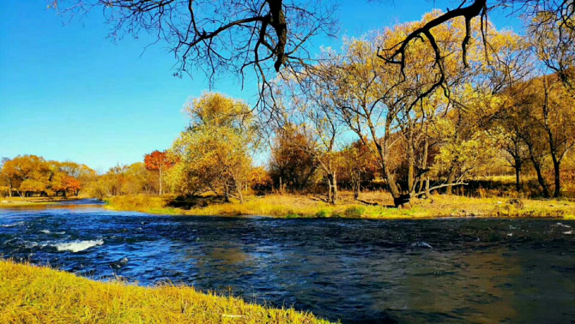 客户投诉产品外观不良怎么回复,如何回复客户投诉英文