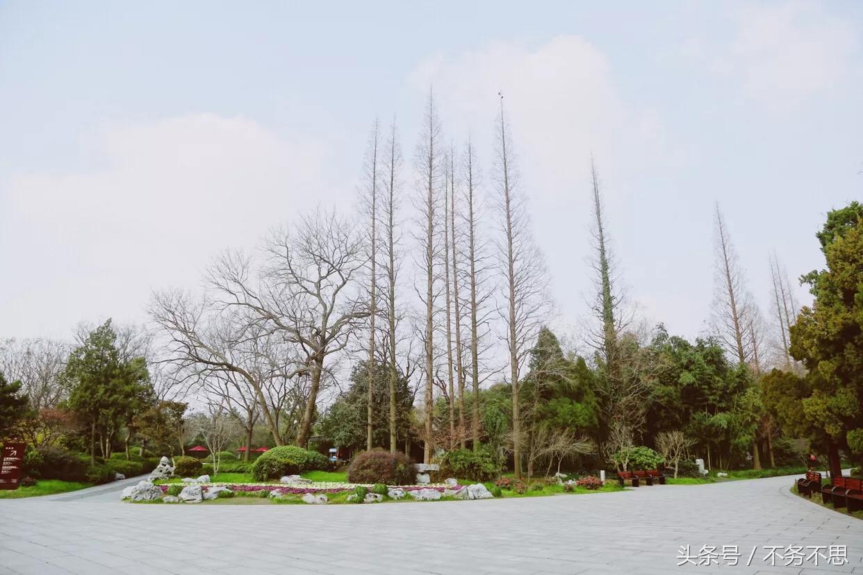 冬天扬州瘦西湖,十二月份的扬州瘦西湖