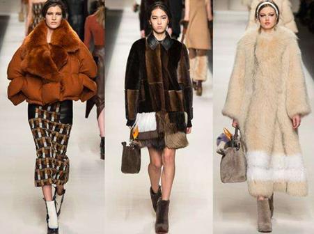 养貂赚钱,现在养貂赚钱么