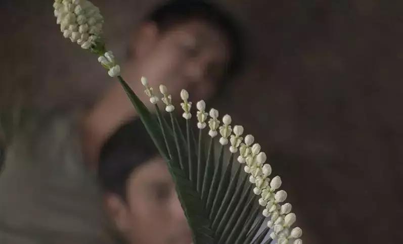 申奥片推荐,各国申奥影片产生