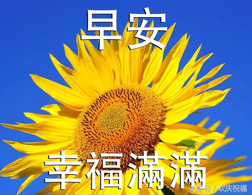 当第一曲铃声悠然响起,那是我的祝福早早来到,愿你拥有一天好心情
