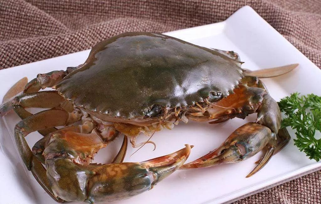 海鲜推荐南宁即食餐厅地址,南宁第一大海鲜配送店